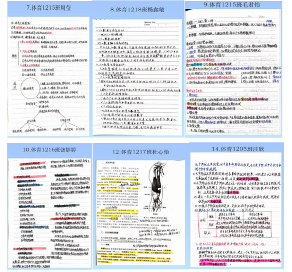 1652628383848371.png 鍥剧墖3.png