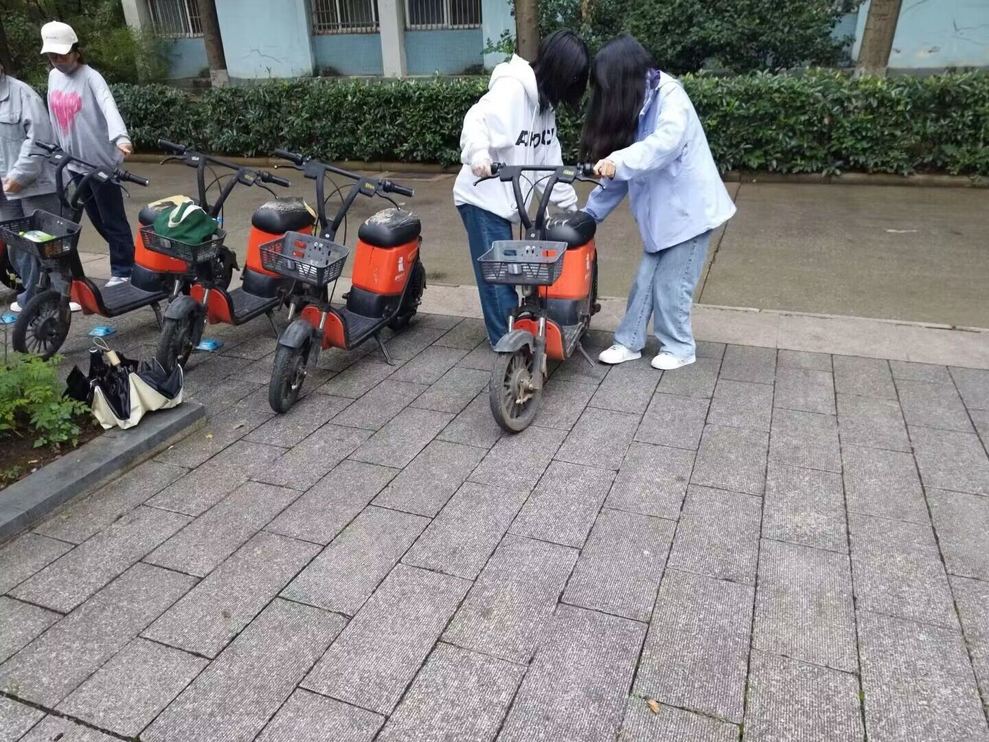 QQ图片20231008082246.jpg