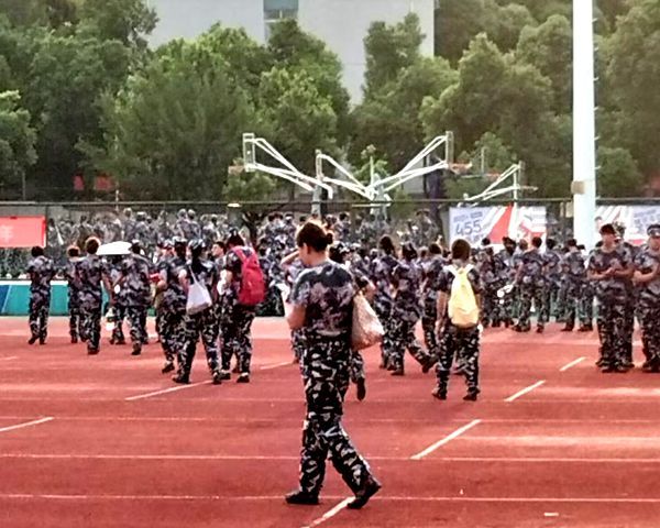 113CB