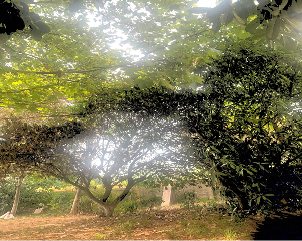 1663082171112429.png 鍥剧墖2.png