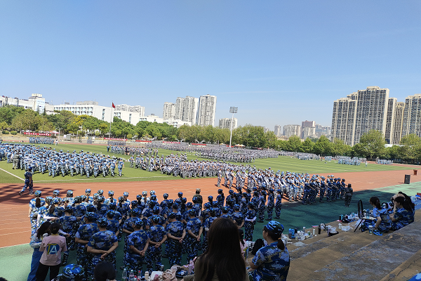 图片11.png