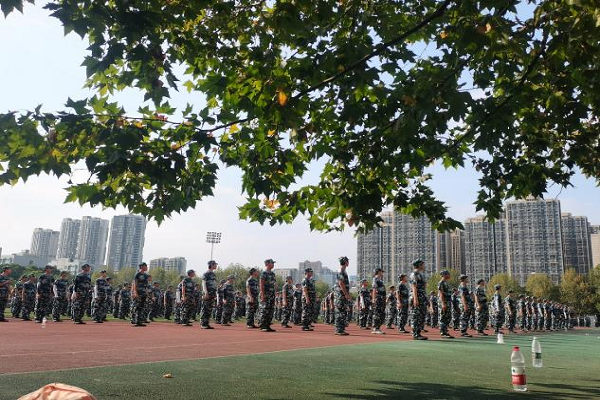 鍥剧墖2.png