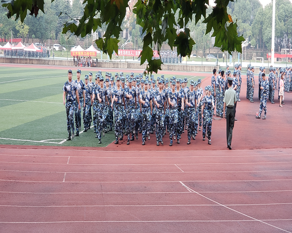 1631889835865240.png 鍥剧墖1.png