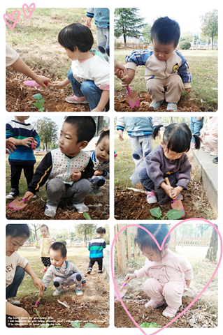 1572251415614020.png 图片1_副本.png