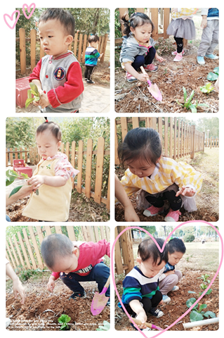1572251443126040.png 图片2_副本.png